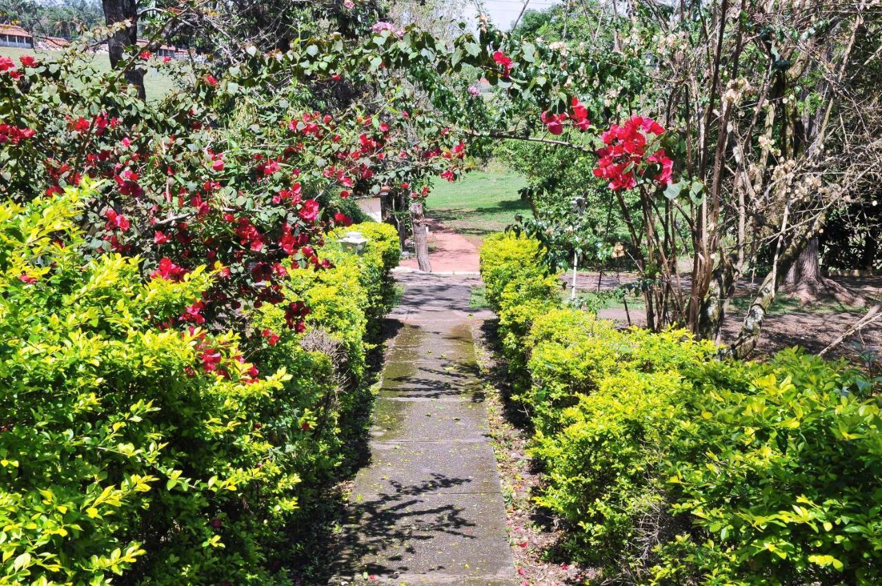 Hotel Nosso Sonho Itatiba Exterior foto